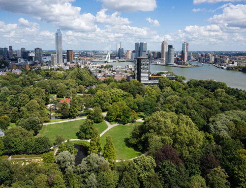 Onderzoek naar parken in Rotterdam. Help mee!